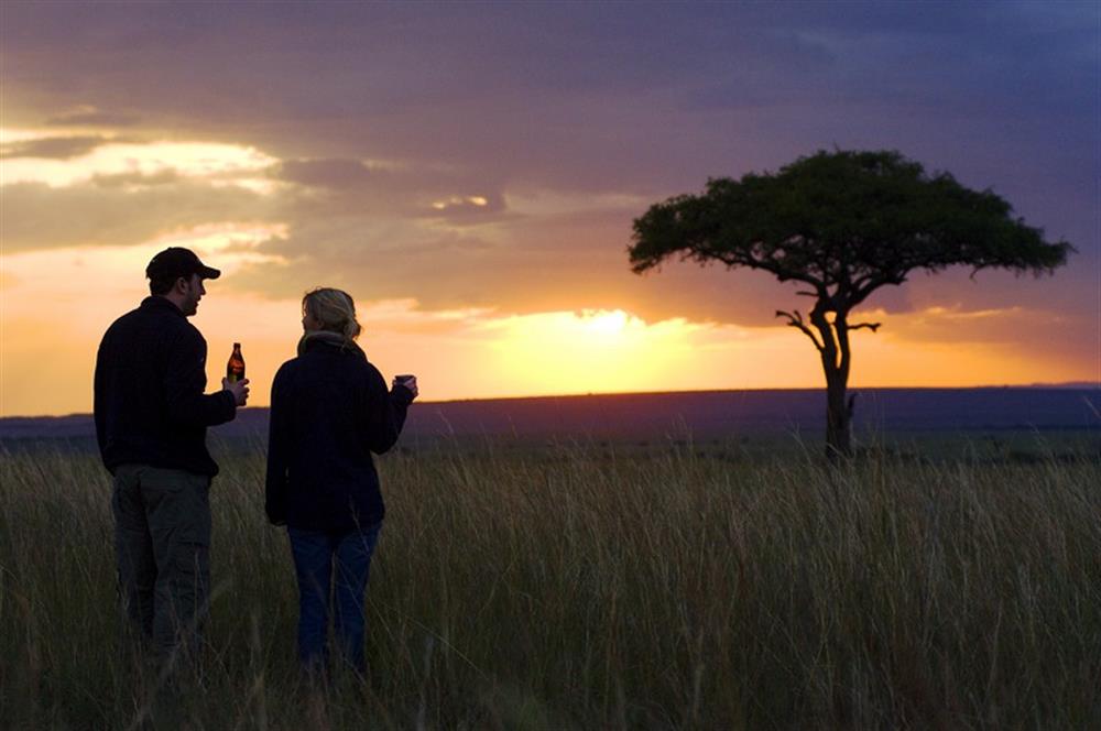 Porini Lion Camp